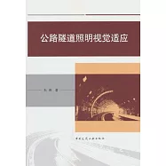 公路隧道照明視覺適應
