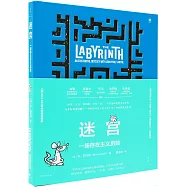 迷宮：一場存在主義歷險