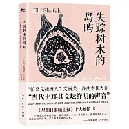 失蹤樹木的島嶼