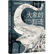 大象的蹤跡