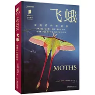 飛蛾：被低估的鱗翅目