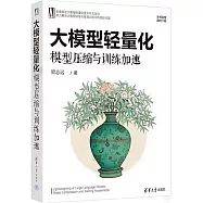 大模型輕量化：模型壓縮與訓練加速