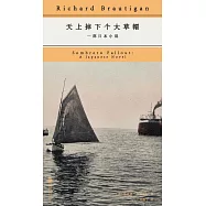天上掉下個大草帽：一部日本小說