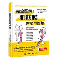 肌筋膜連接與修復