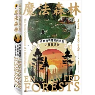 魔法森林：詩意地構建時間開始之前的世界