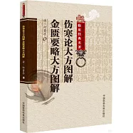 傷寒論大方圖解 金匱要略大方圖解