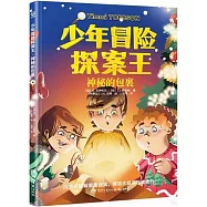 少年冒險探案王(4)：神秘的包裹