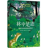 林中足跡：森林與河岸的秘密生活