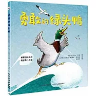 勇敢的綠頭鴨