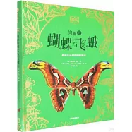 DK絢麗的蝴蝶與飛蛾