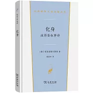 化身：彼得堡敘事詩