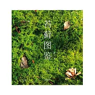 苔蘚圖鑒