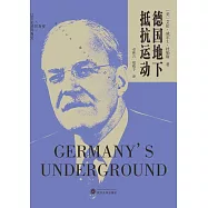 德國地下抵抗運動