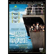 燦爛新人生 DVD(Golden Door)