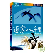 返家八千里 / 黑面琵鷺 DVD