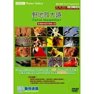 萬地放大鏡 精裝版16 DVD