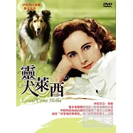 靈犬萊西 DVD