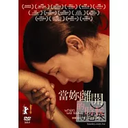 當妳離開的時候 DVD(When We Leave)