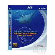 奇蹟的大地-巴哈.加利福利亞半島 (藍光BD)(Discover Planet Ocean - Miracles of Nature in Baja California (BD))