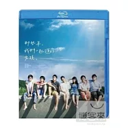 那些年，我們一起追的女孩 (紀念珍藏版) (藍光BD)(You Are the Apple of My Eye BD Edition)