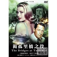 孤獨里橋之役 DVD