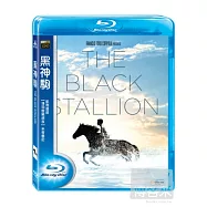 黑神駒(1979) (藍光BD)(BLACK STALLION，THE(1979))