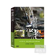 搶救石虎 DVD(Saving the Leopard Cats)