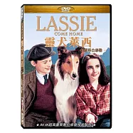 靈犬萊西 伊麗莎白泰勒 DVD(Lassie Come Home)