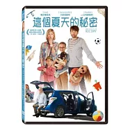 這個夏天的秘密 DVD(What We Did On Our Holiday)