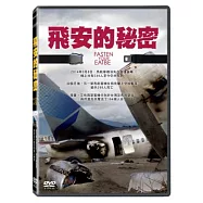 飛安的秘密 DVD(Fasten Your Seatbelt)
