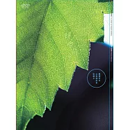 給親愛的孩子 (DVD)(A Letter to Future Children)