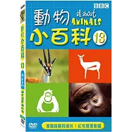 動物小百科(13) DVD(All About Animals13)
