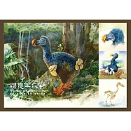 楊恩生水彩 (10DVD)