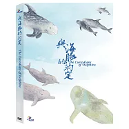 與海豚的約定 (DVD)(The Custodians of Dolphins)