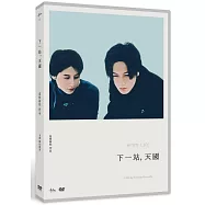 下一站，天國 DVD(After Life)