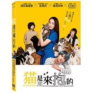 猫是用來抱的 DVD(Cat in Their Arms)