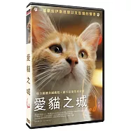 愛貓之城DVD(Kedi DVD)