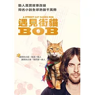 遇見街貓BOB (平裝版) DVD(A Street Cat Named Bob)