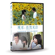 現在，很想見你 DVD(Be With You)