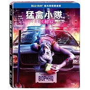 猛禽小隊：小丑女大解放 單碟鐵盒版(藍光BD)(Birds of Prey 1-Disc Steelbook)