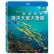 海洋天堂大堡礁 (藍光BD)(Great Barrier Reef)