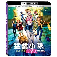 猛禽小隊：小丑女大解放 UHD+BD 雙碟限定版(Birds of Prey UHD+BD 2 Disc)