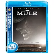 賭命運轉手 (藍光BD)(The Mule)