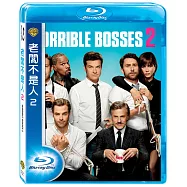 老闆不是人2 (藍光BD)(Horrible Bosses 2)