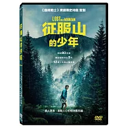 征服山的少年 DVD(Lost on a Mountain)
