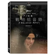 PJ 哈維：戰地拾音錄 (DVD)(PJ Harvey : A Dog Called Money)
