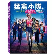 猛禽小隊：小丑女大解放 雙碟版(DVD)(Birds of Prey 2 Disc)