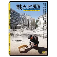 戰火下的毛孩 DVD(Dogs and War)
