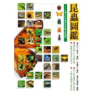 昆蟲圖鑑(1) (電子書)