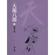 天龍八部1：無量玉壁 (遠流版金庸作品集41) (電子書)